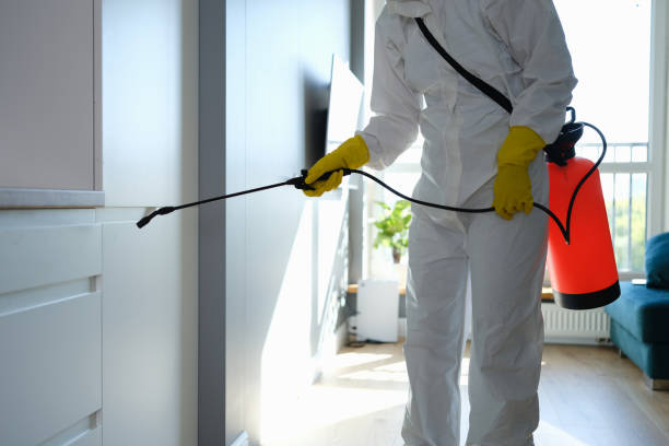 Best Mold Remediation for Healthcare Facilities  in Mill Creek, WA