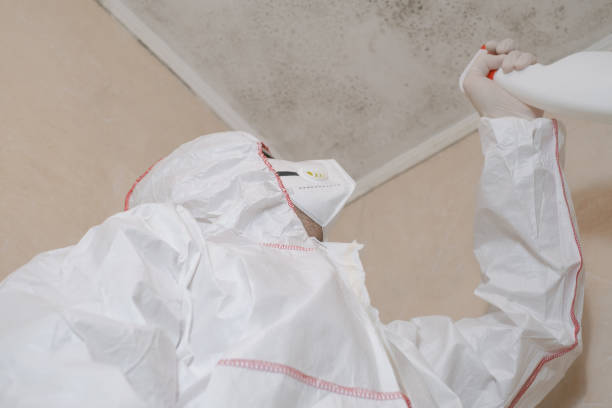 Best Industrial Mold Remediation  in Mill Creek, WA